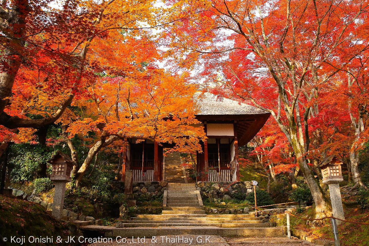 常寂光寺